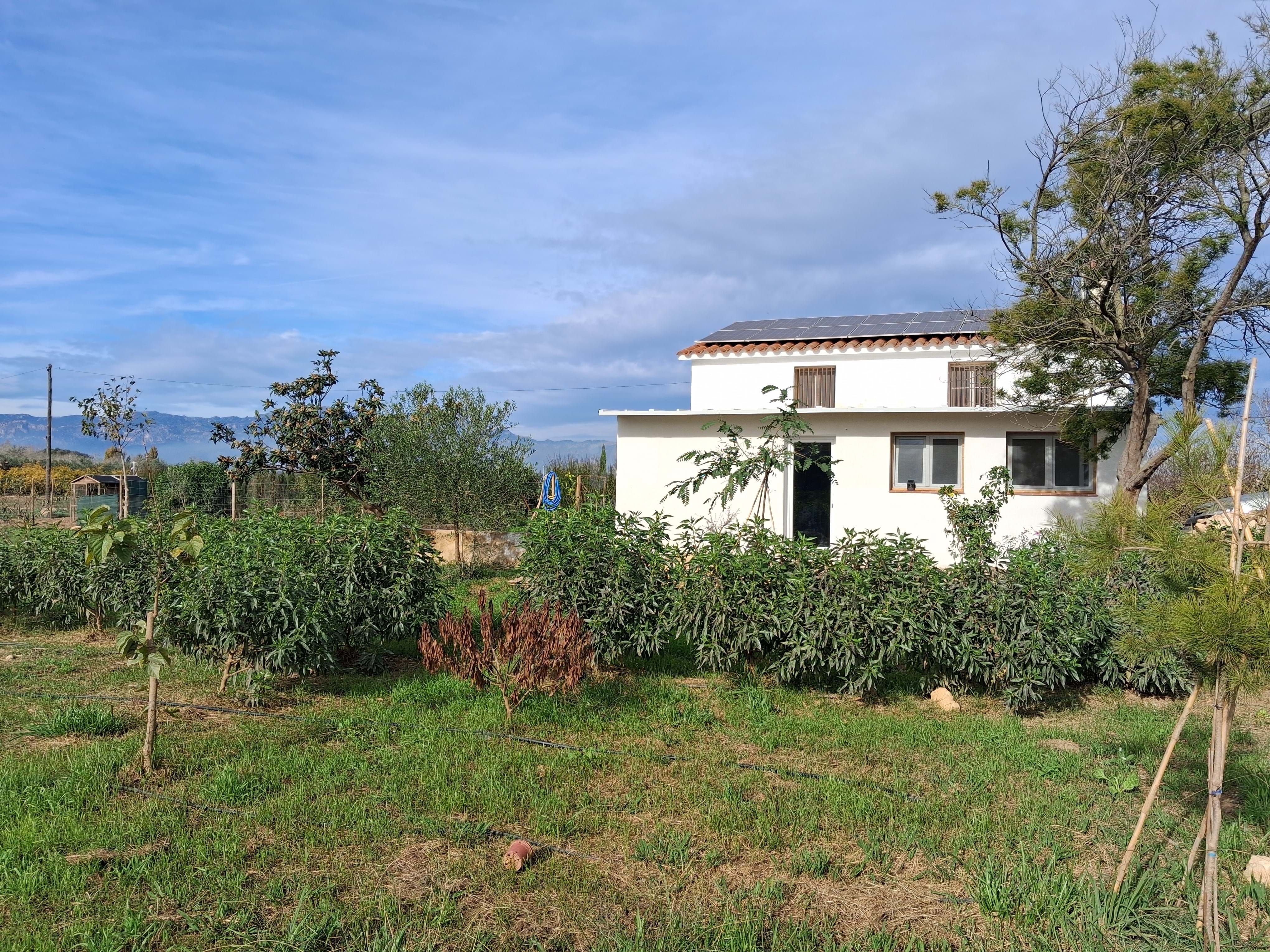 Casa o xalet en venda en Amposta amb Aire condicionat i Calefacció