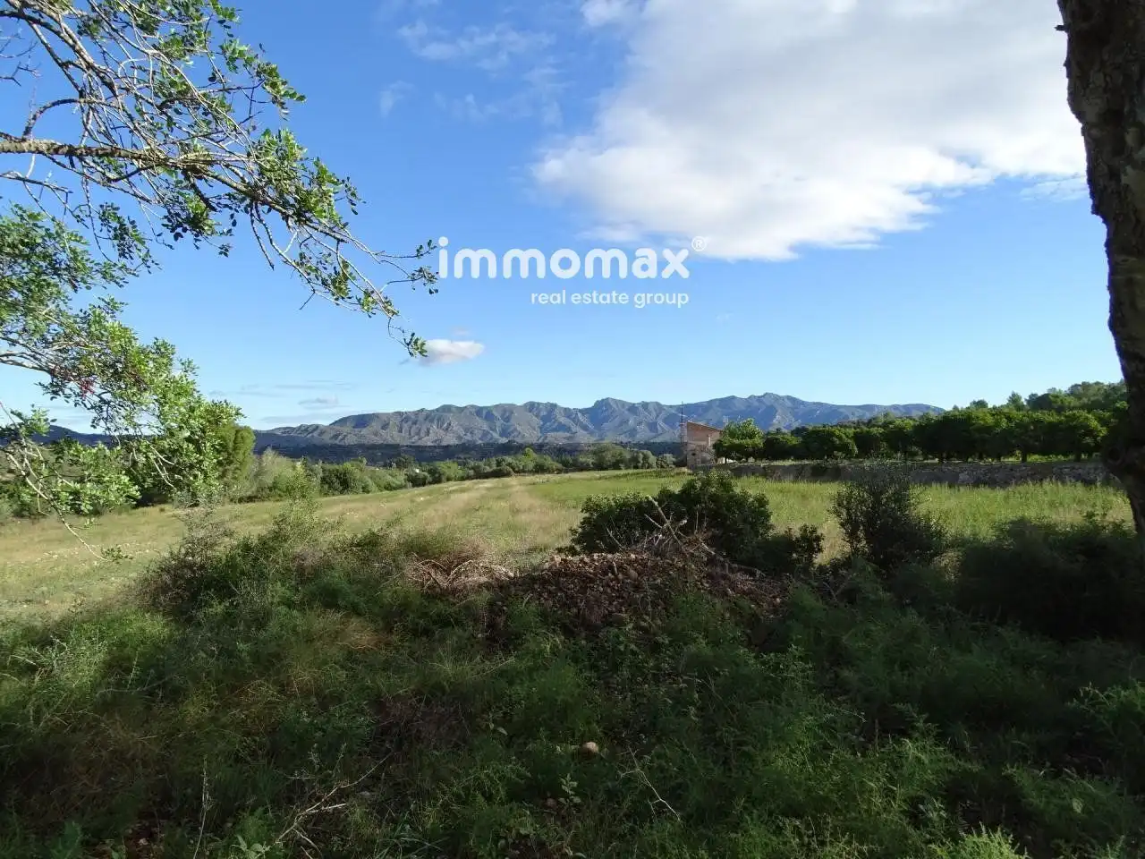 Houses for sale in Aldover