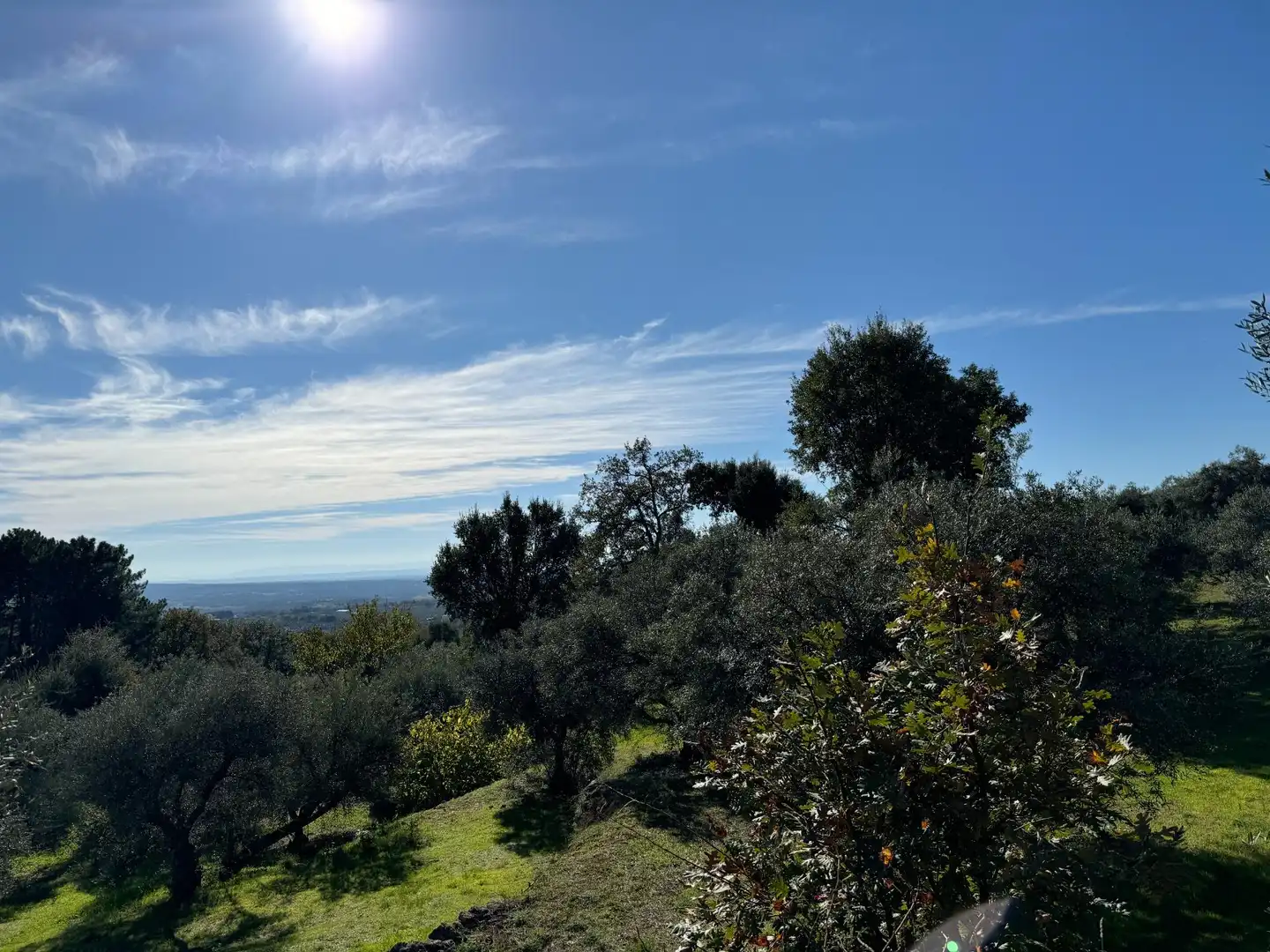 Vista exterior de Finca rústica en venta en Candeleda con Jardín privado
