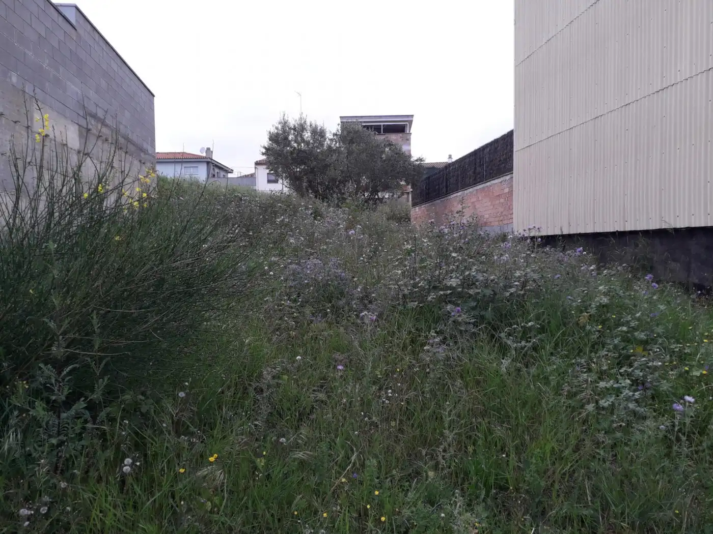 Wohnbaugrundstück zum Verkauf in Calle John Coltrane, imagen 10