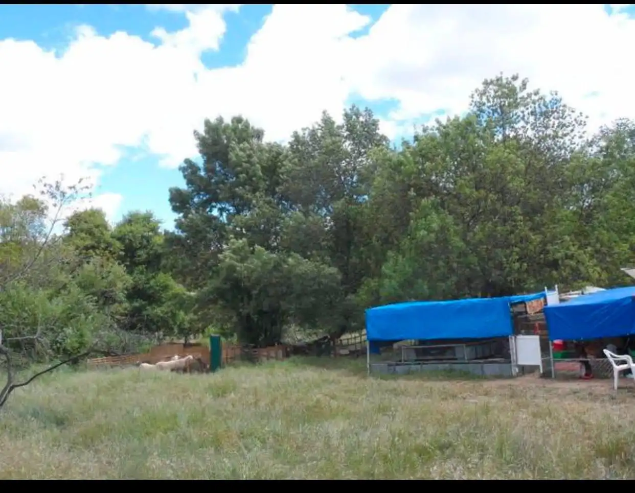Terreni e lotti in vendita a Burgohondo, imagen 2