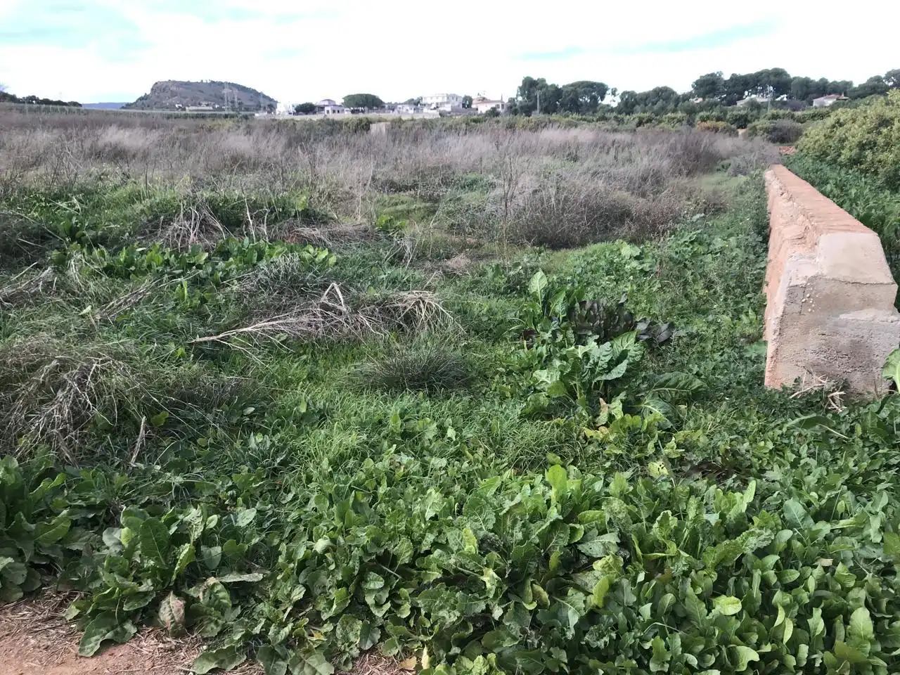 Lands and plots for sale in Corralet - Bonanza - Tres Rutas, imagen 3