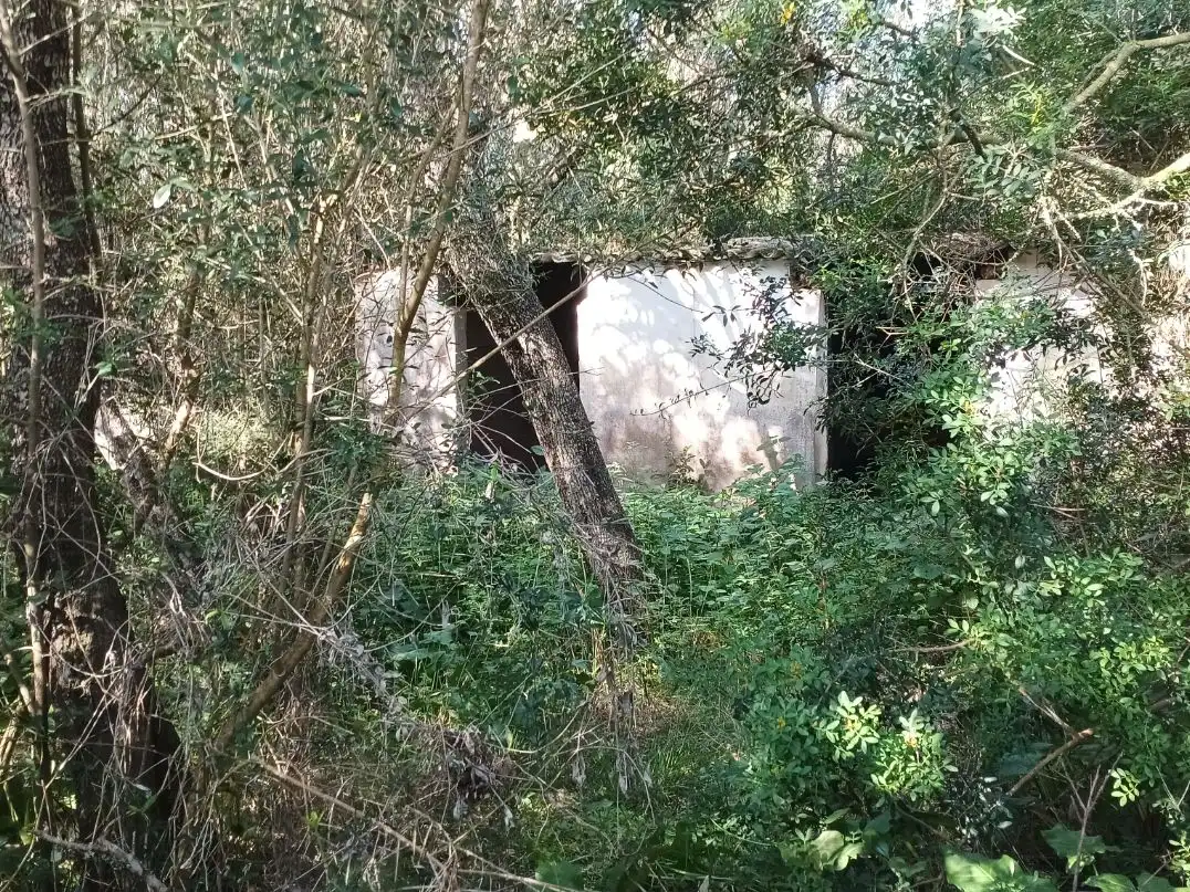 Außenansicht von Grundstücke zum Verkauf in Alaior