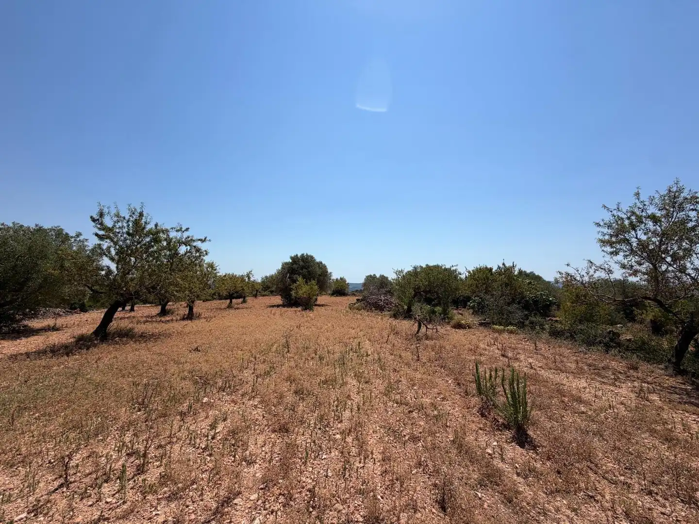 Terreny rústic en venda a Sierra Engarcerán, imagen 3