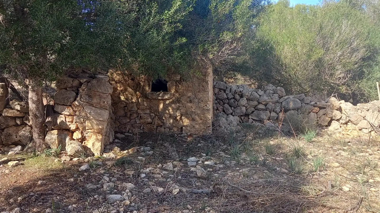 Rustikales Grundstück zum Verkauf in Manacor Centre, imagen 9
