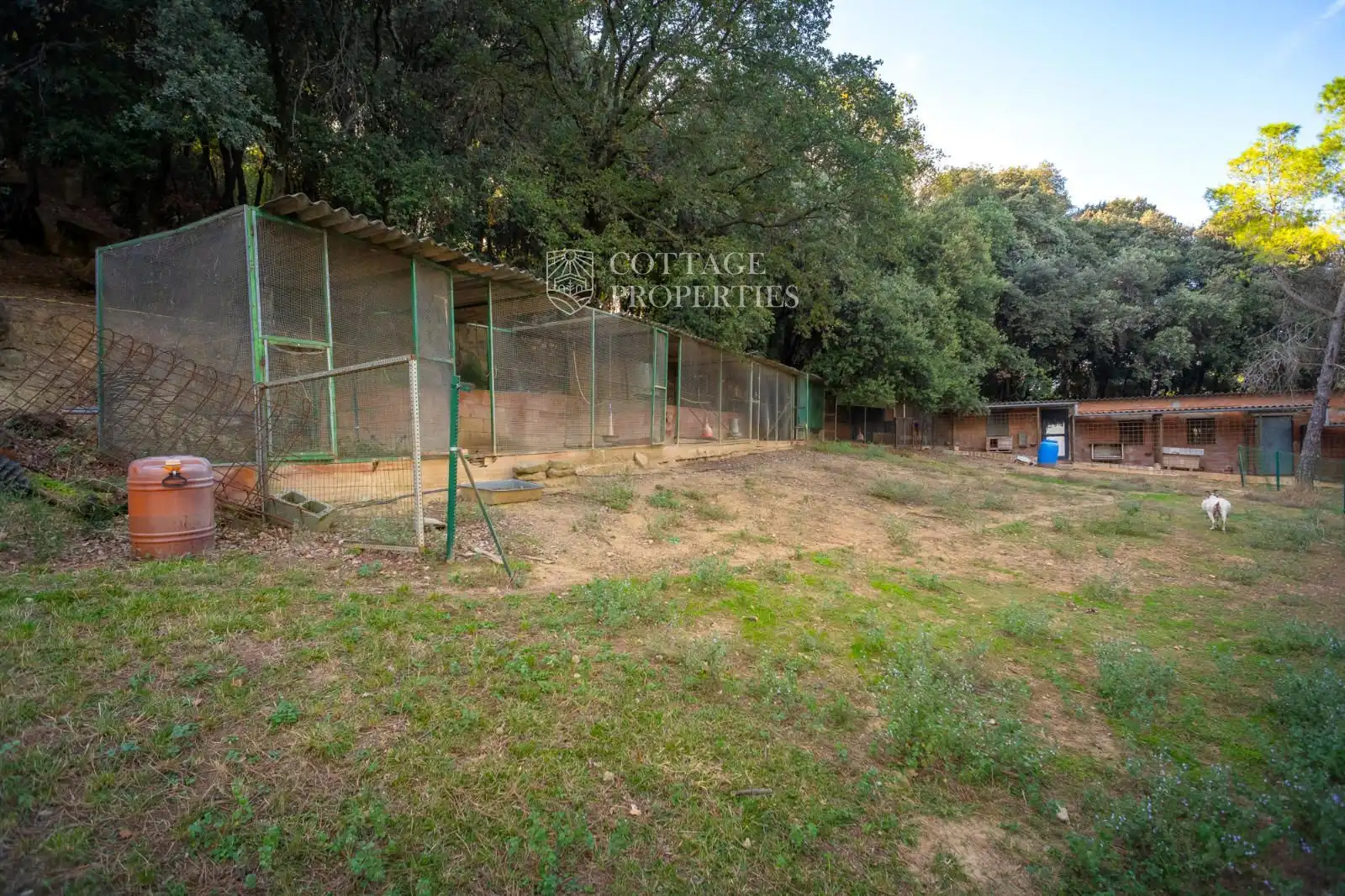 Finca rústica en venta en Sant Miquel de Campmajor con Calefacción y Piscina