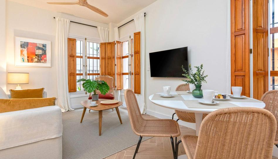 Photo 1 of Flat to rent in N/a, Alfalfa - Santa Cruz, Sevilla