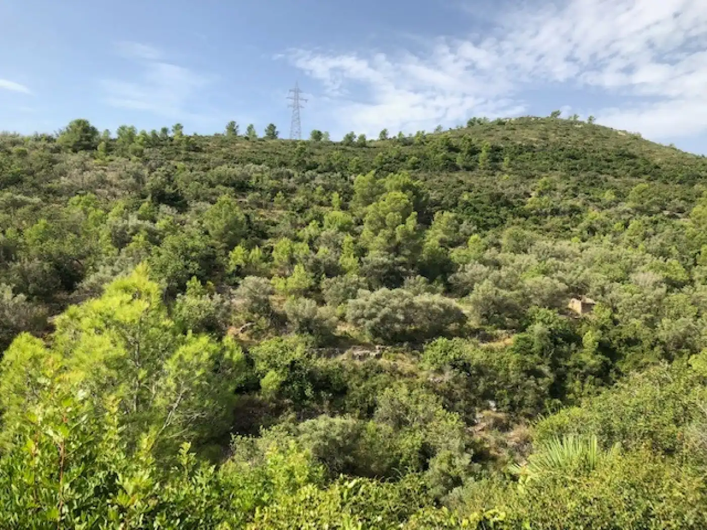 Rural land for sale in Alcanar, imagen 5
