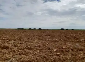 Terreno en venta en Fuentelahiguera de Albatages