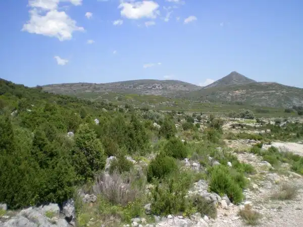 Finca rústica en venta en Culla