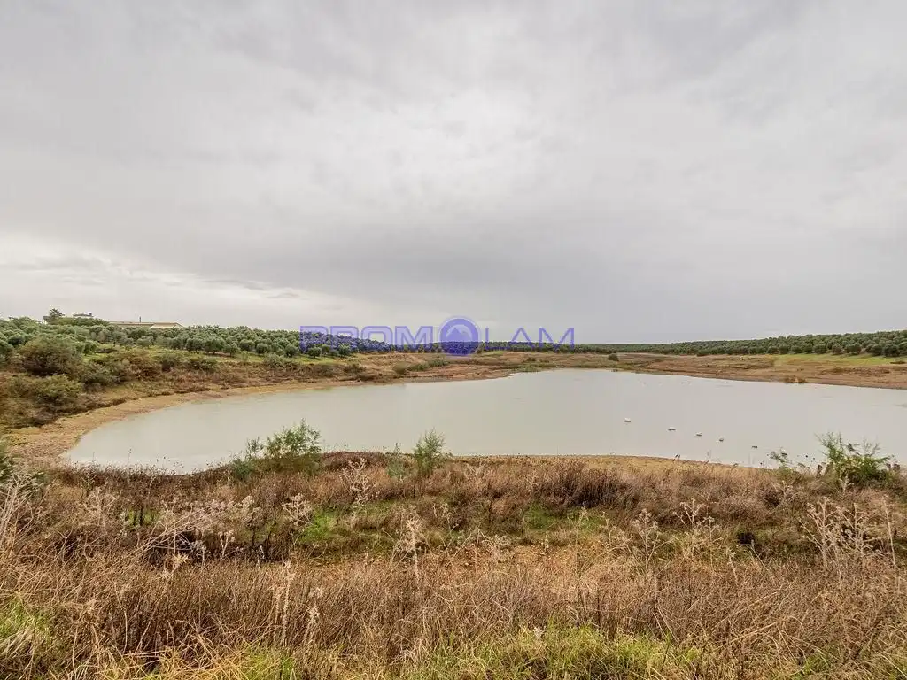 Residencial en venta en La Campana