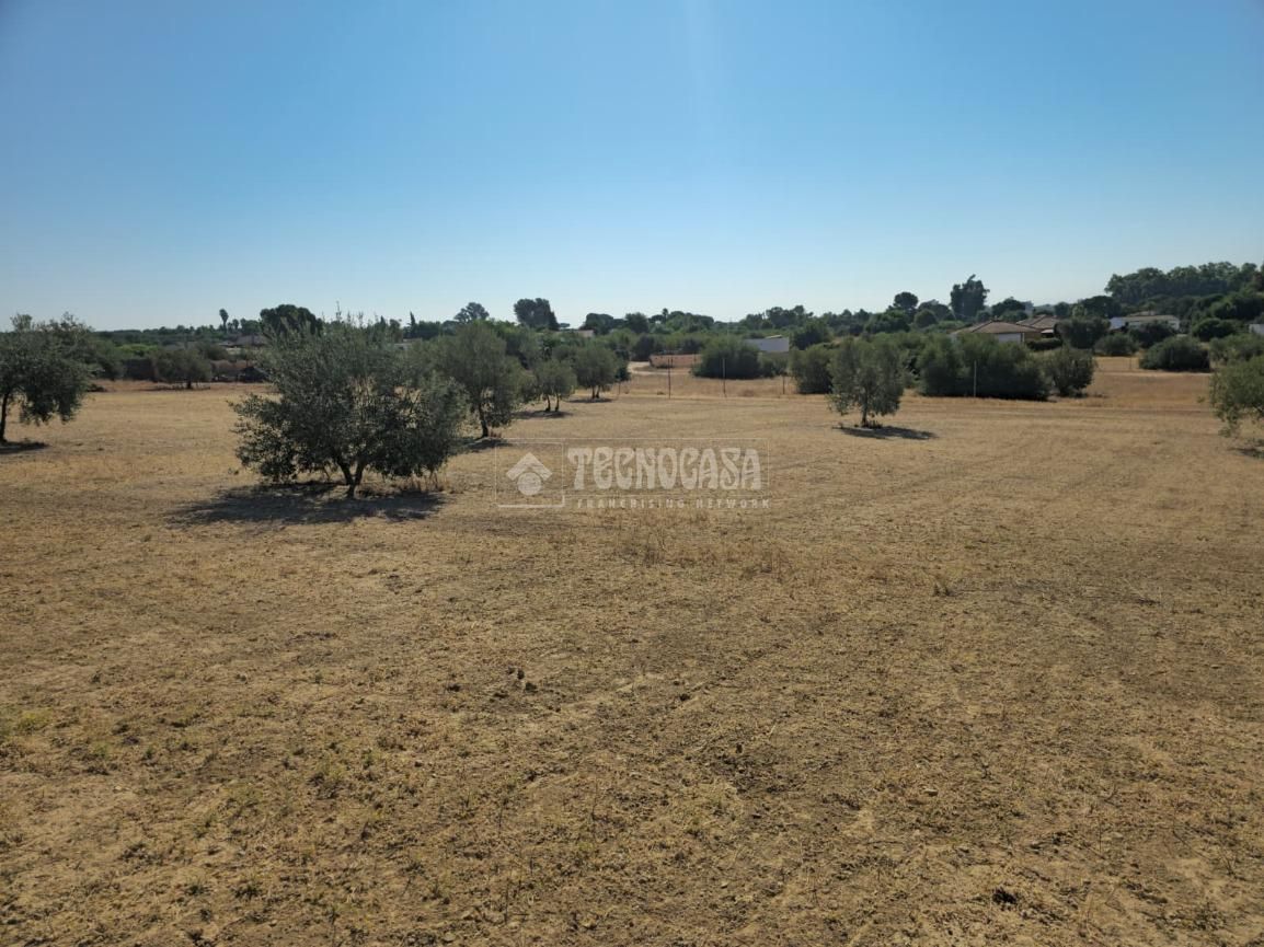 Terreno en venta en Arahal