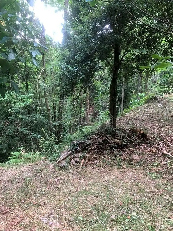 Finca rústica en venta en Arbúcies con Jardín privado, Terraza y Amueblado