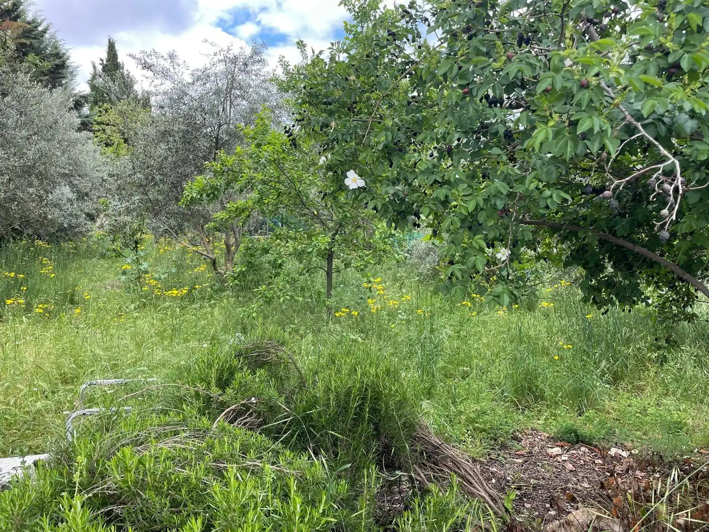 Finca rústica en venda en Carrión de Calatrava amb Calefacció, Terrassa i Traster