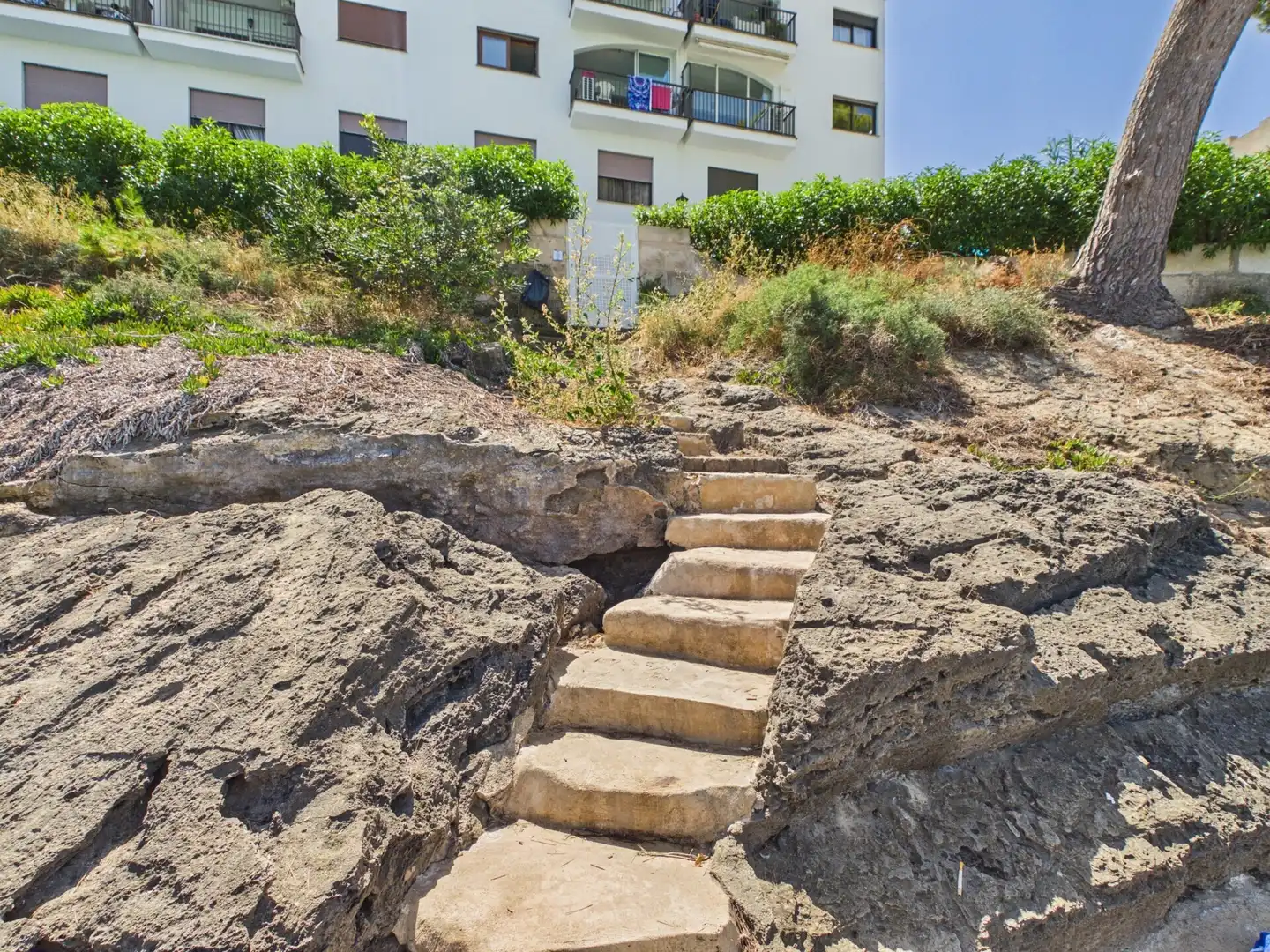 Jardí de Apartament en venda en Calvià amb Aire condicionat i Terrassa