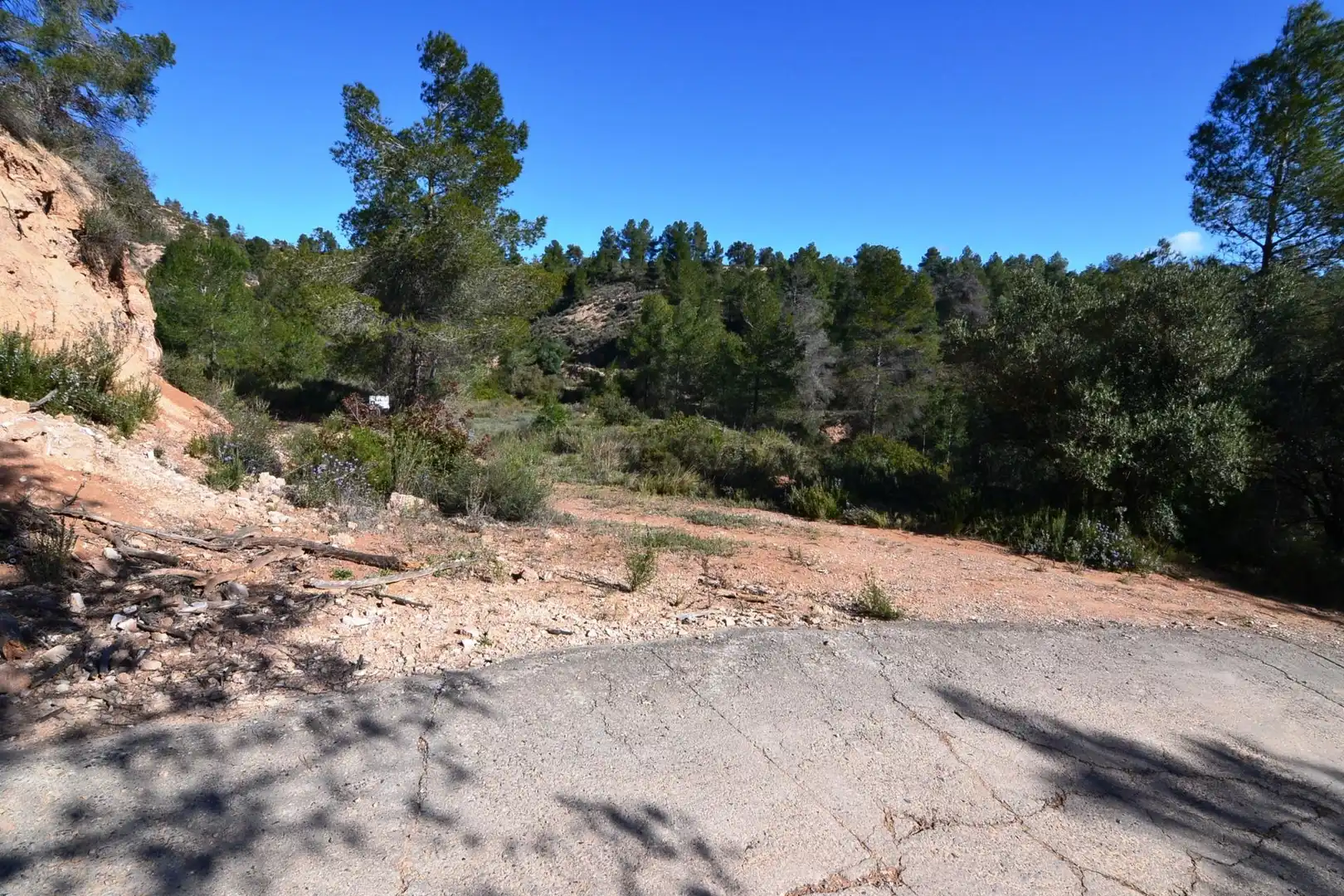 Rural land for sale in Ascó, imagen 51