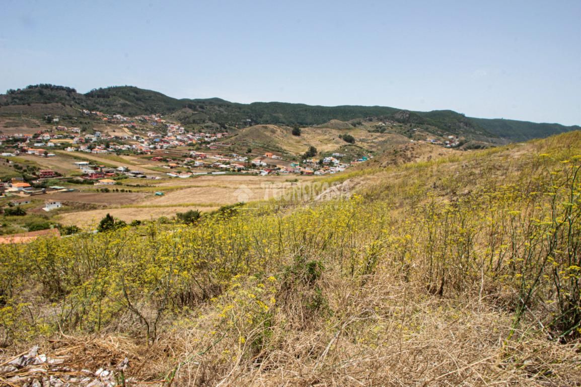 Land for sale in San Cristóbal de la Laguna