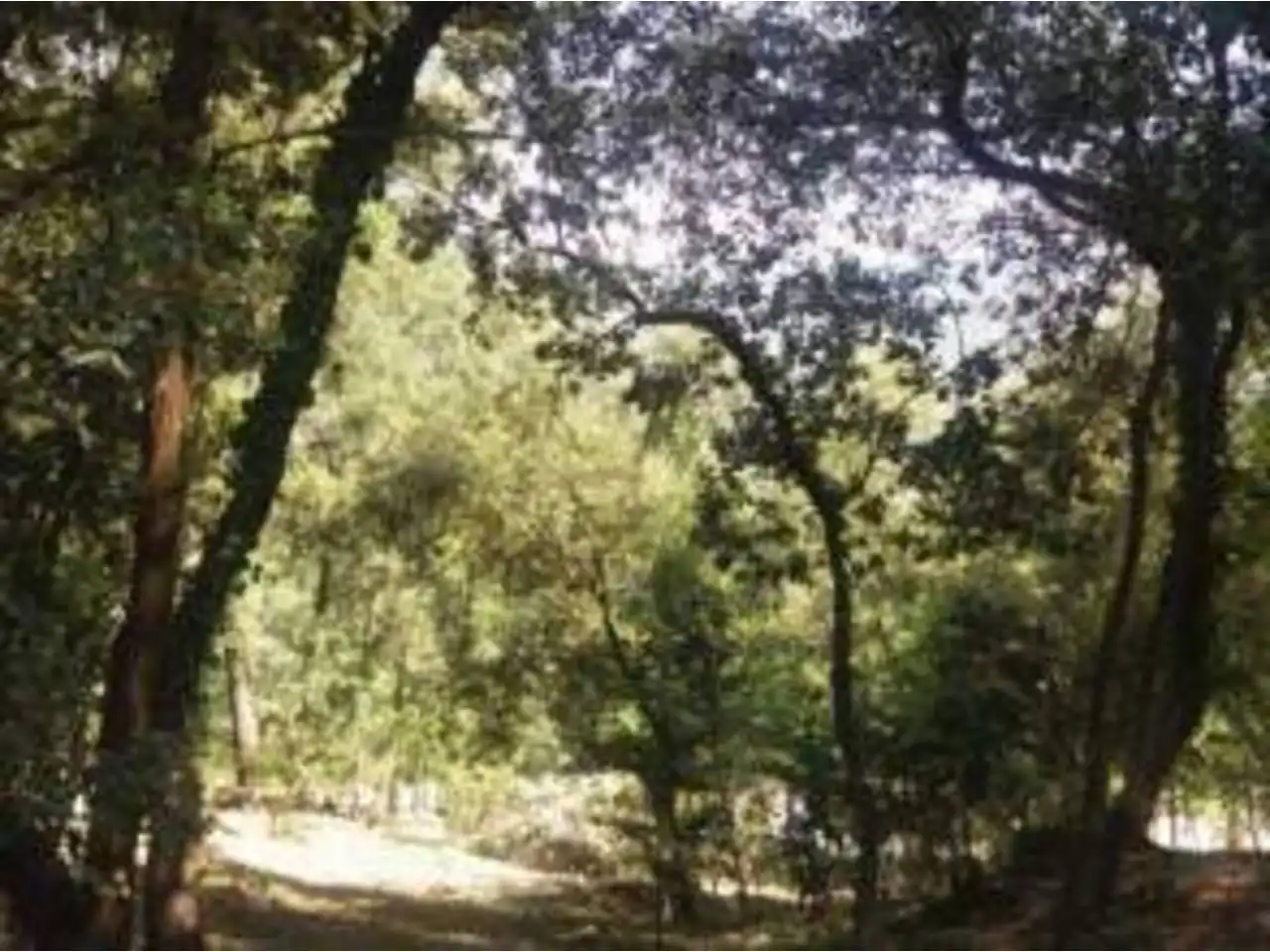 Terreno en venta en Sant Quirze Safaja