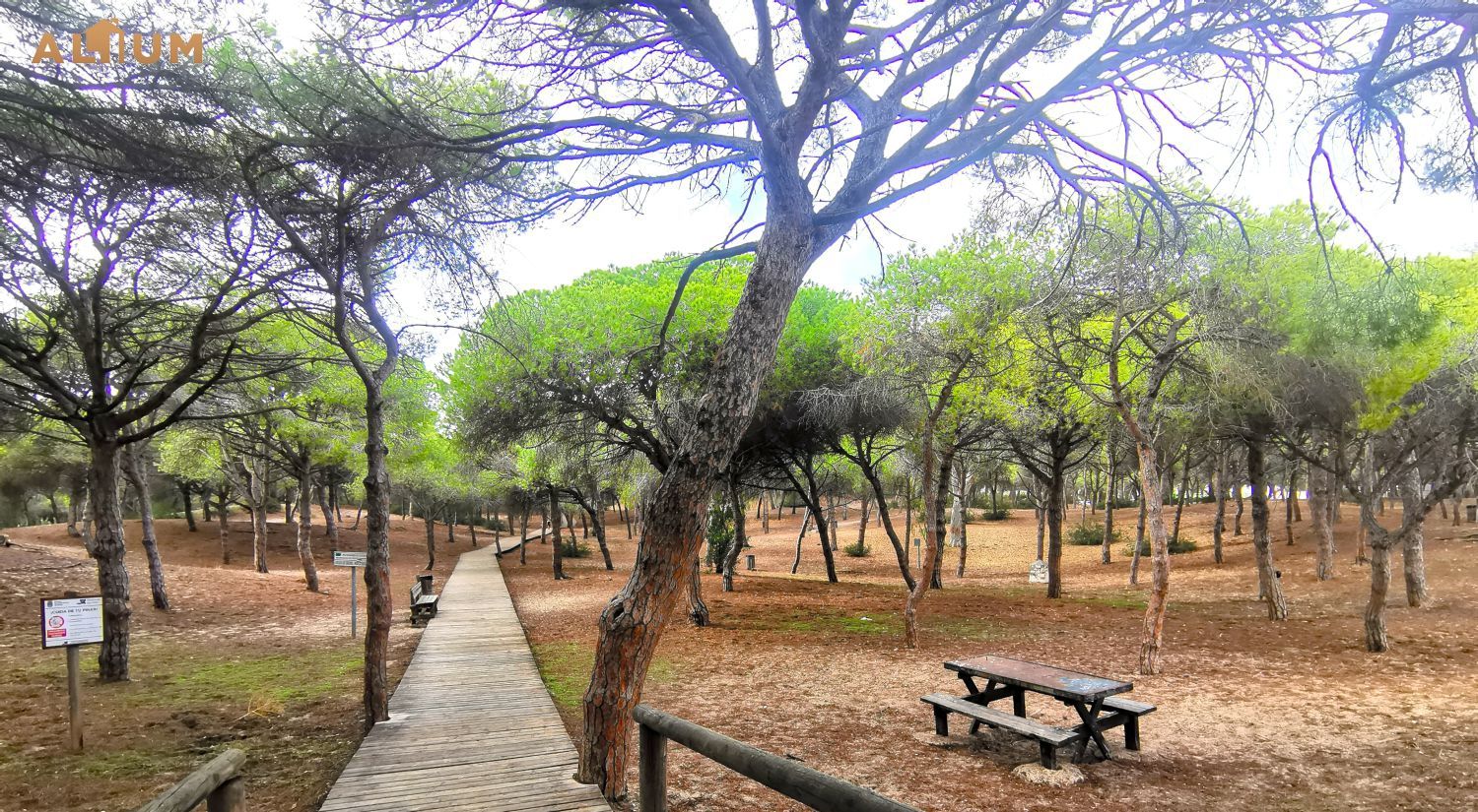 Jardí de Pis en venda en Rota amb Aire condicionat, Terrassa i Piscina comunitària