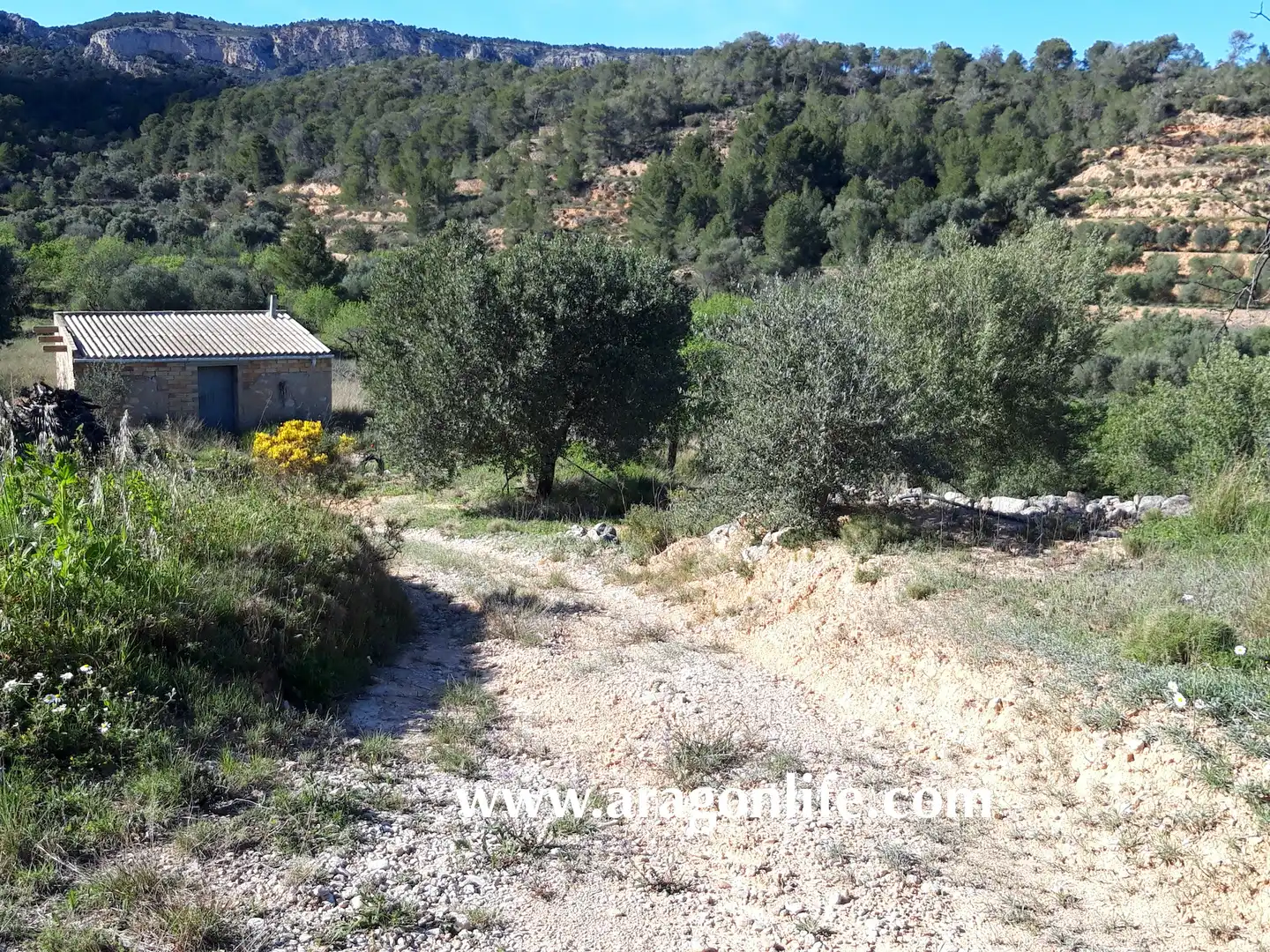 Country homes for sale in El Pinell de Brai