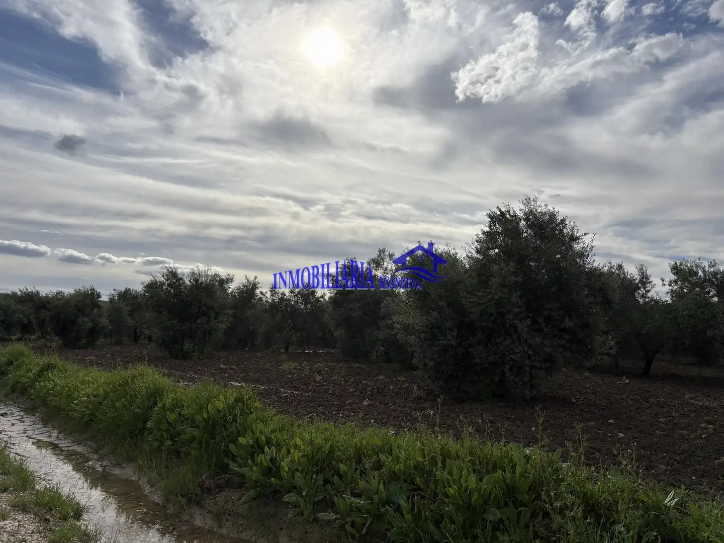 Finca rústica en venda en El Carpio
