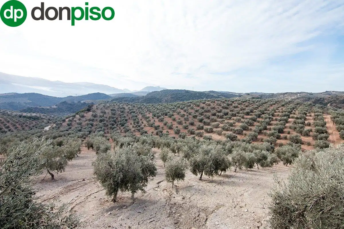 Casa rústica en venda a CORTIJO LA BARRAGANA, imagen 26