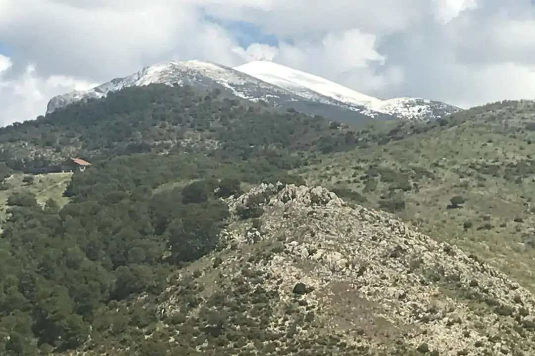 Terreni e lotti in vendita a Avda de Madrid - Pº de la Estación, imagen 30
