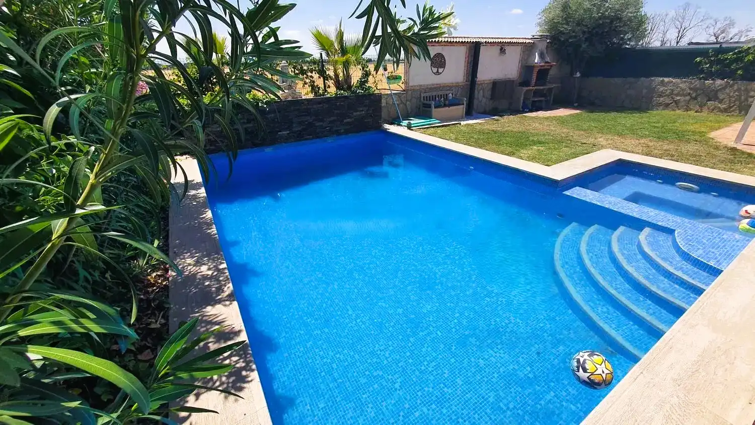 Schwimmbecken von Haus oder Chalet zum Verkauf in Barcience mit Klimaanlage, Heizung und Privatgarten