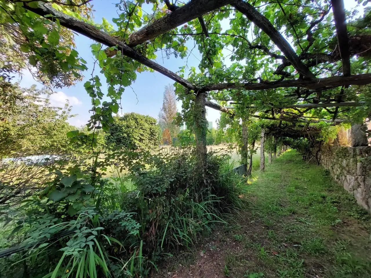 Jardí de Casa o xalet en venda en Coles amb Calefacció, Jardí privat i Terrassa
