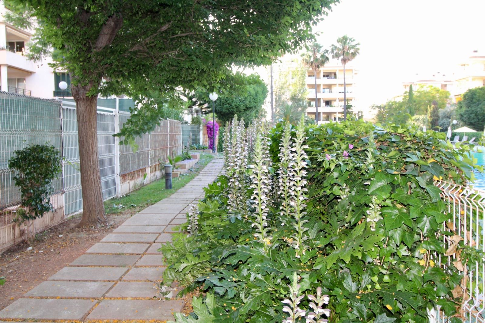 Jardí de Pis en venda en  Palma de Mallorca amb Aire condicionat, Terrassa i Piscina comunitària