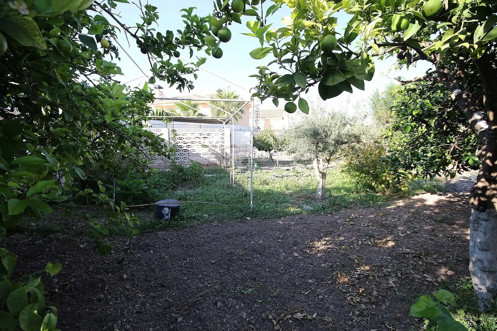 Chalet en venta en Monóvar  / Monòver, imagen 14