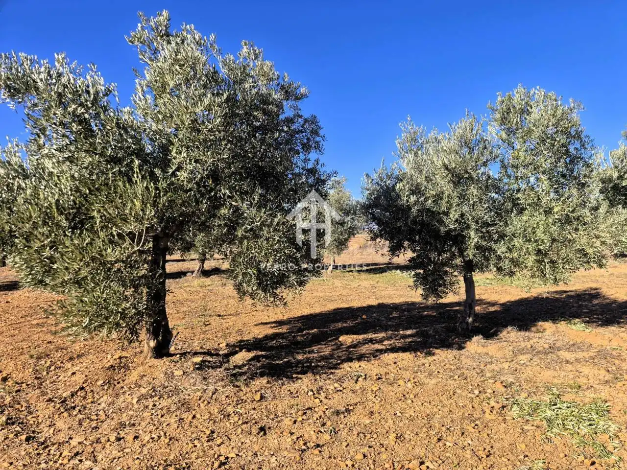 Lands and plots for sale in Lanteira, imagen 33
