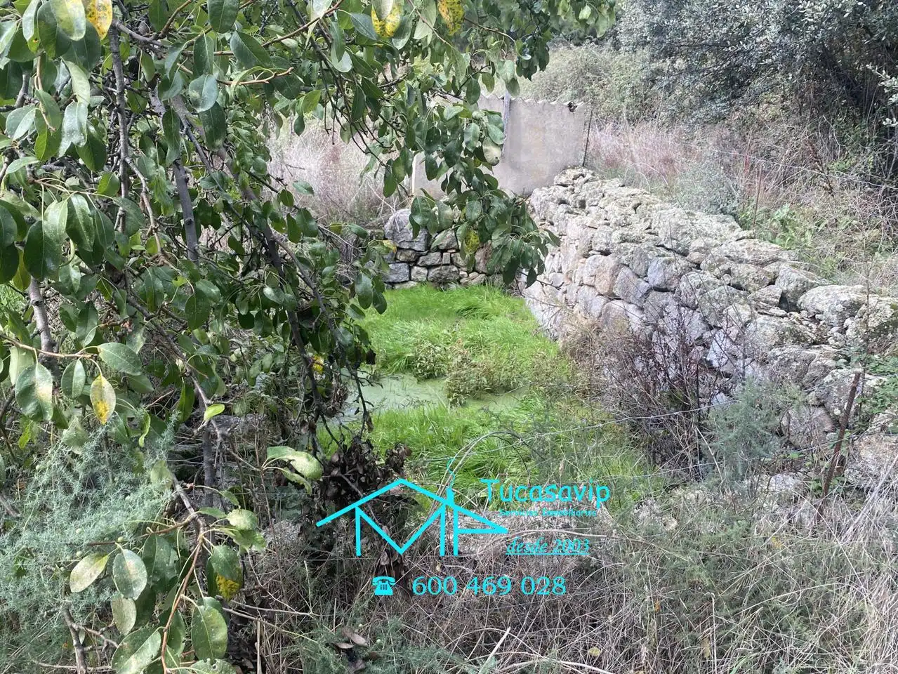 Terreni e lotti in vendita a Cebreros, imagen 7