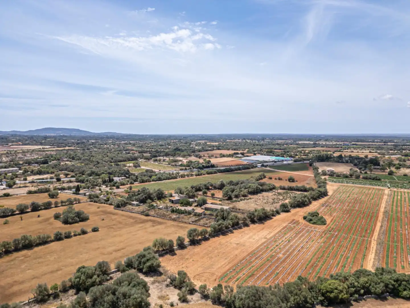 Terreno rustico in vendita a Felanitx Poble, imagen 11