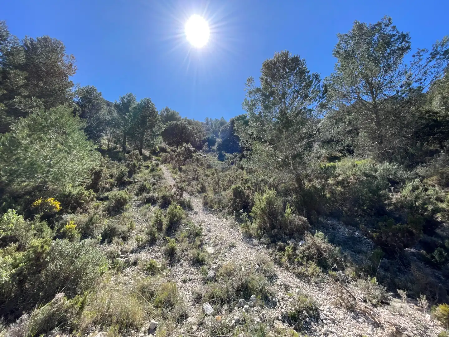 Terrain rustique à vendre à Tivissa, imagen 3