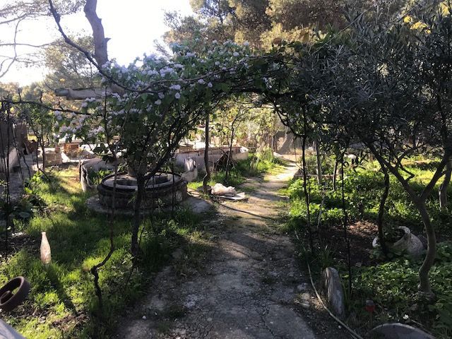 Jardí de Casa o xalet en venda en Las Peñas de Riglos amb Terrassa i Traster