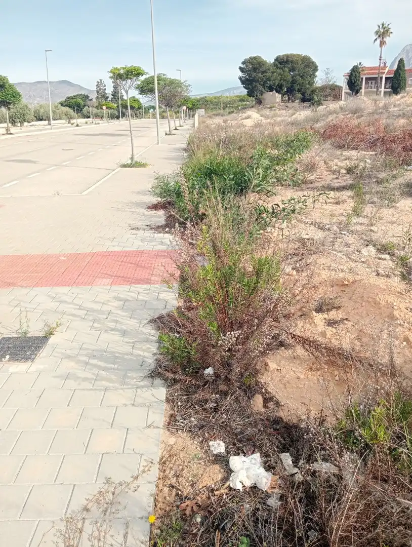 Terrenos y solares en venta en Platja de Torres, imagen 7