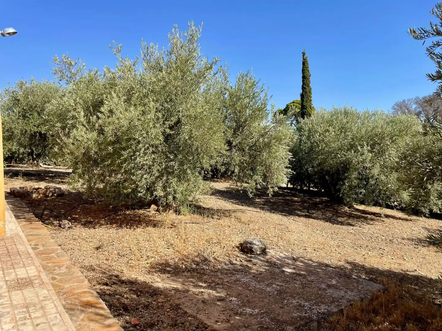 Country homes for sale in Valdepeñas