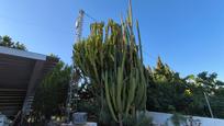 Jardí de Casa o xalet en venda en Aspe amb Piscina