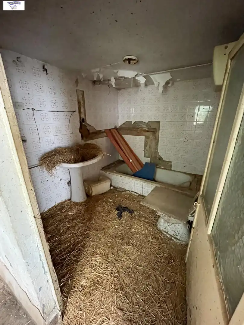 Baño de Finca rústica en venta en La Gineta