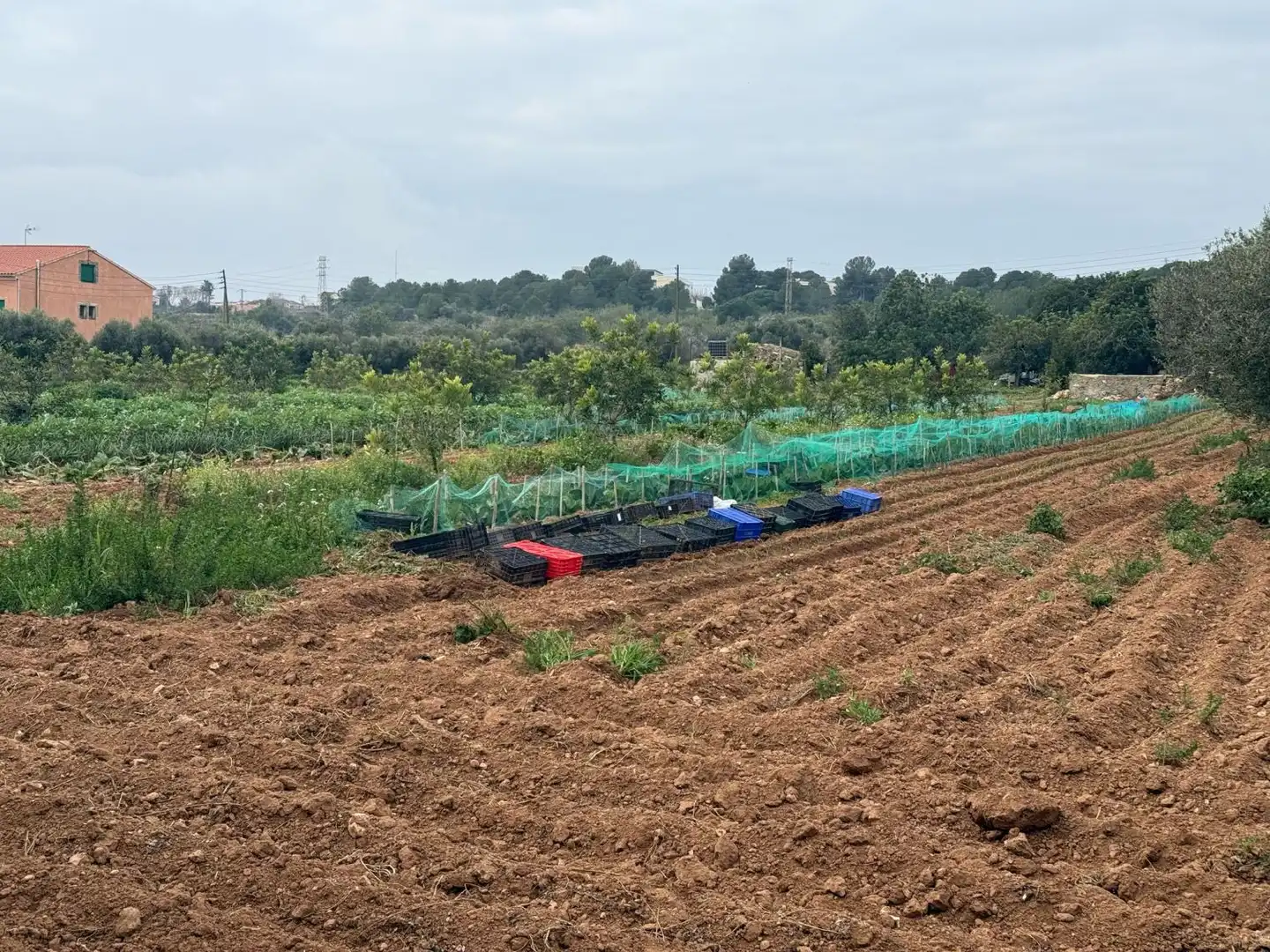 Finca rústica en venda a Altafulla