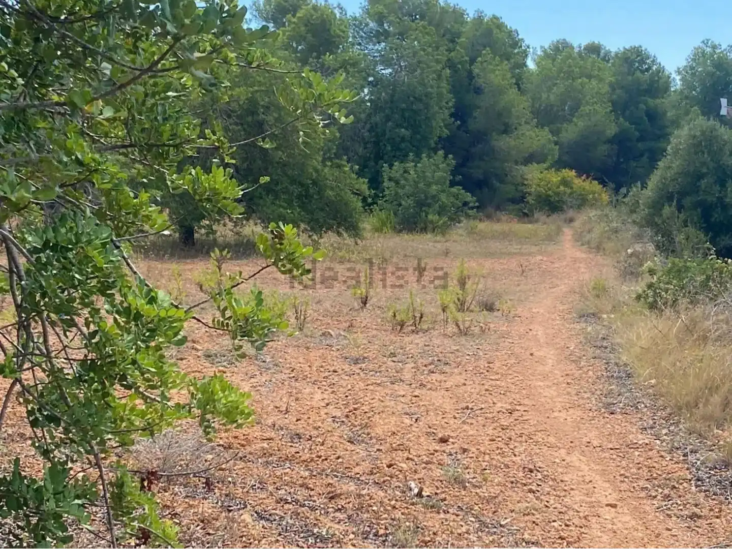 Rural land for sale in Extrarradio Diseminado 1, imagen 2
