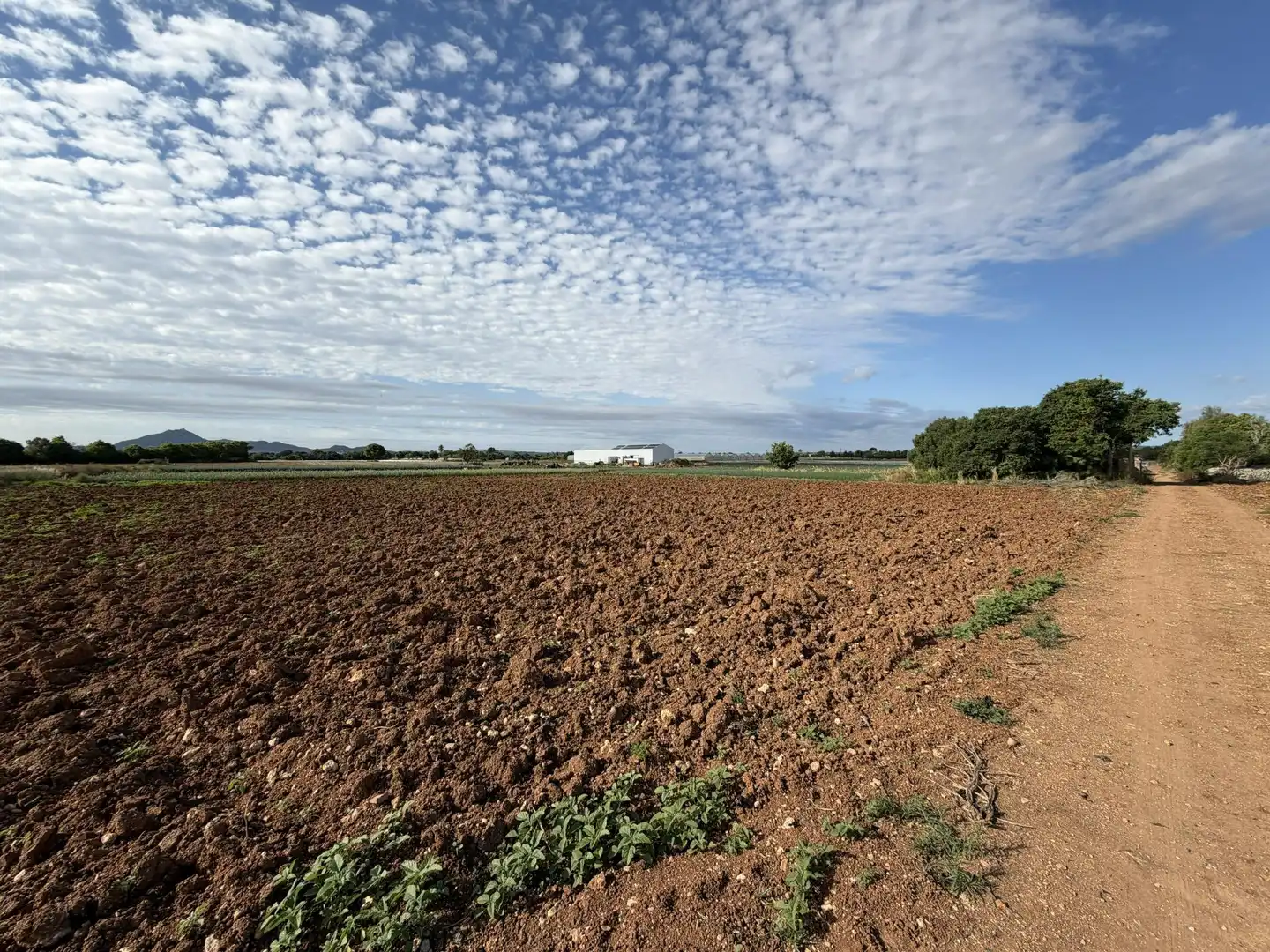 Country homes for sale in Manacor
