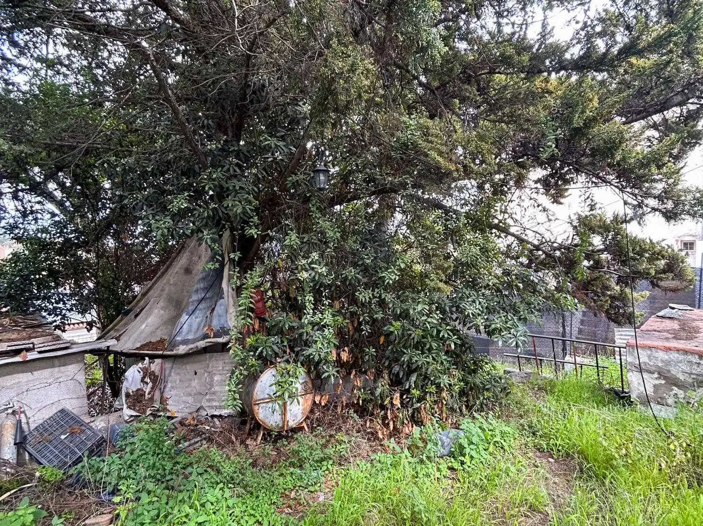 Residential zum Verkauf in Carretera del Centro Monte Lentiscal, 66, Los Alvarados - Fuente los Berros - Bandama