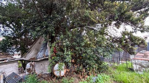 Photo 4 of Residential for sale in Carretera del Centro Monte Lentiscal, 66, Los Alvarados - Fuente los Berros - Bandama, Santa Brígida