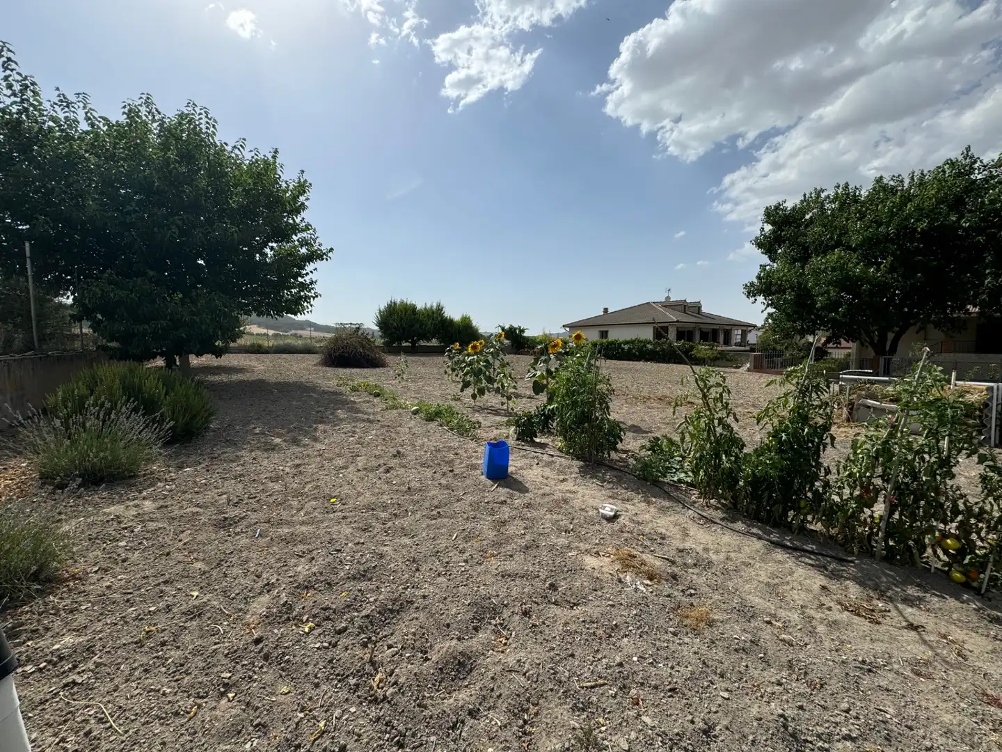 Terreno residencial en venta en Calle Parque Sur, imagen 4