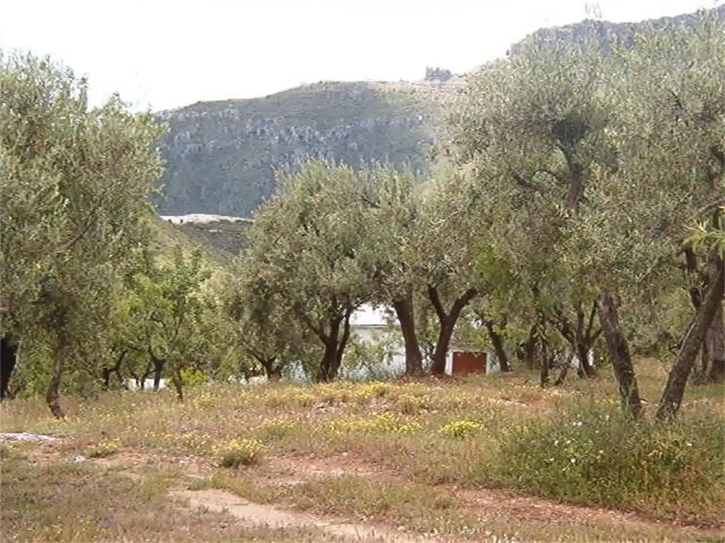Terreno en venta en Los Guájares