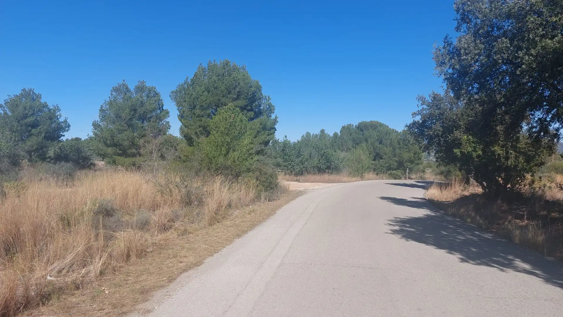 Terrain rustique à vendre à Camí de Paterna - Lloma del Calderer, imagen 2