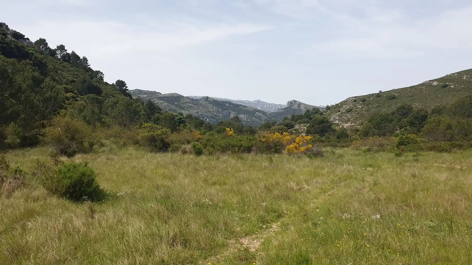 Country homes for sale in otros Varias Parcelas, Benigembla