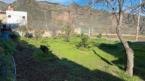 Foto 3 de Finca rústica en venda a Calle José Gil Rivero, Vega de San Mateo, Las Palmas